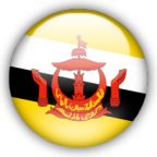 FLAGI - brunei.png