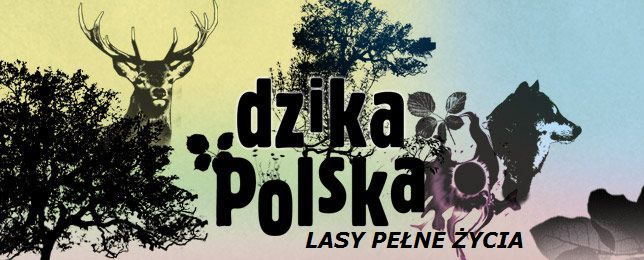 Dzika Polska. Lasy pełne życia - Dzika Polska. Lasy pełne życia 2010PL-Dzika Polska. Lasy pełne życia.jpg