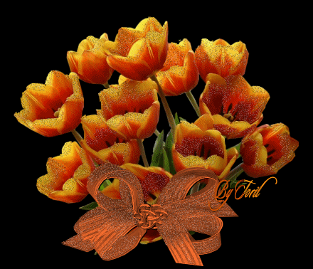 gify-tulipany - kwiaty tulipany32.gif