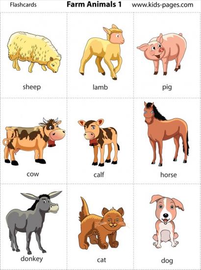 zachomikowane - Farm Animals 1.jpg