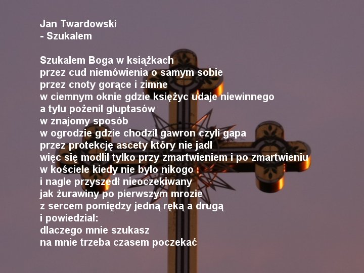 Twardowski Jan - ks. Jan Twardowski - Szukałem.jpg