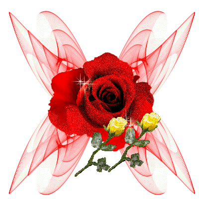  Kwiaty - roza czer.gif