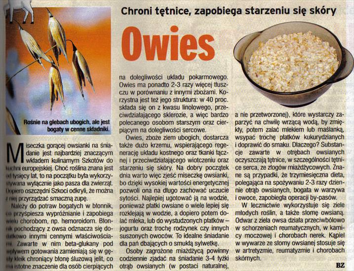 Domowe leczenie1 - Owies.jpg